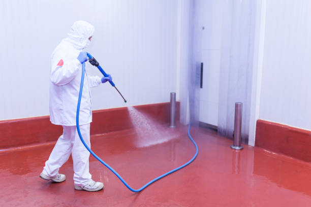 Best Roof Cleaning and Mildew Removal in Clendenin, WV